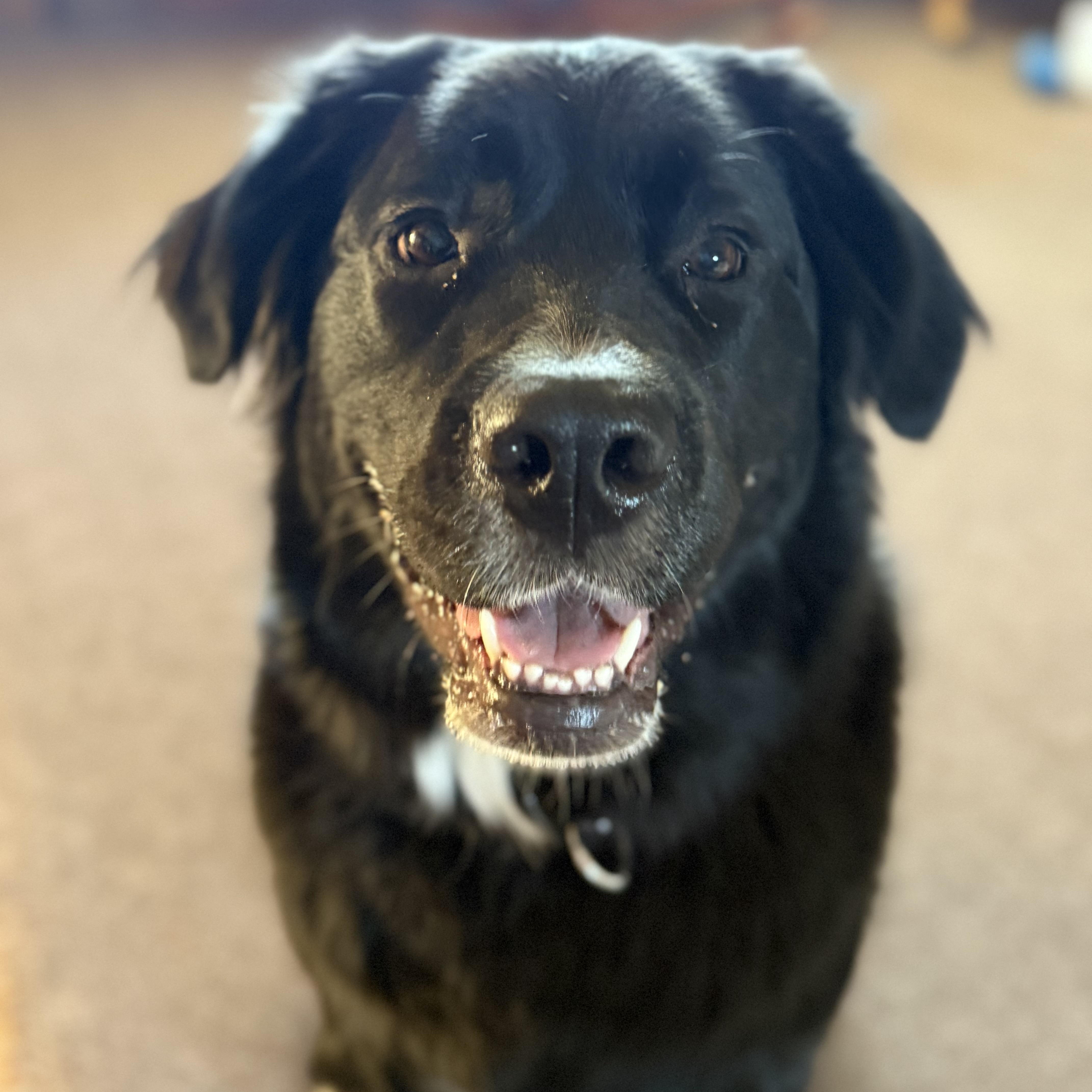 MARLOW — thumbnail 5