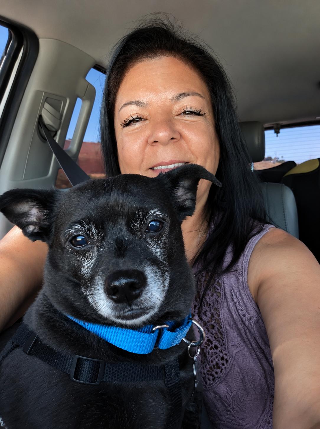 Cooper, a ADOPTABLE mixed breed in Murrieta, CA image 2/5
