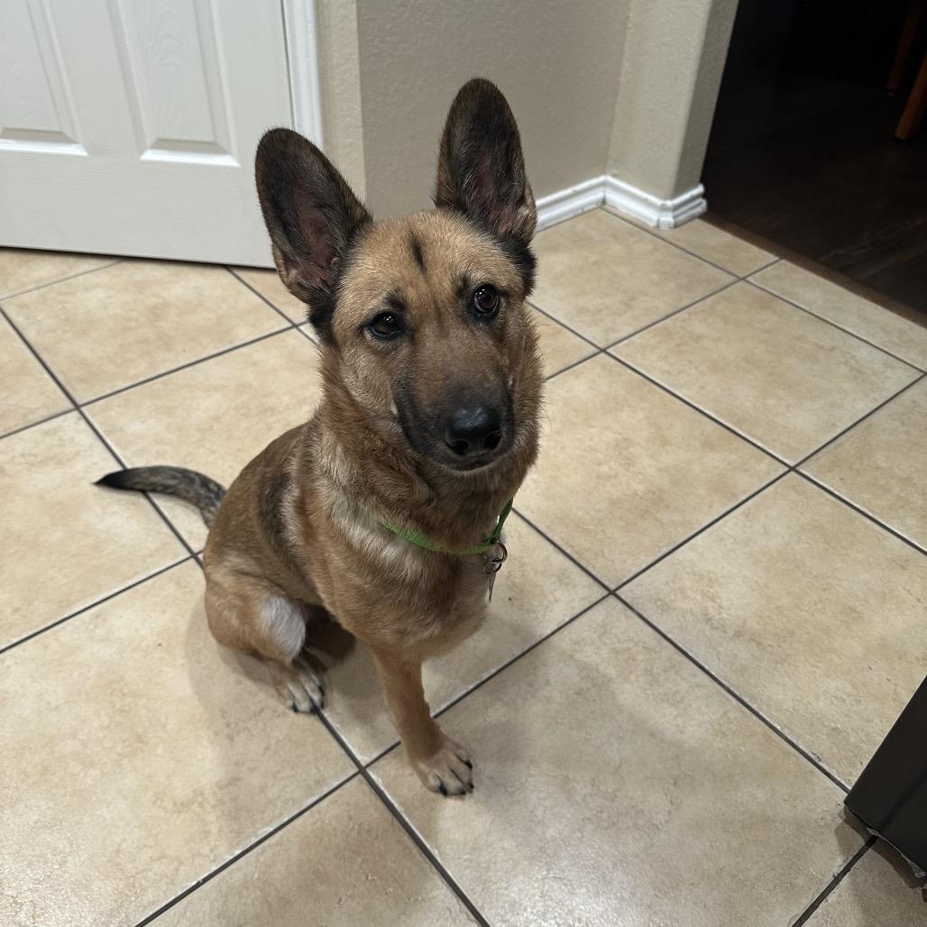 Opal — thumbnail 2