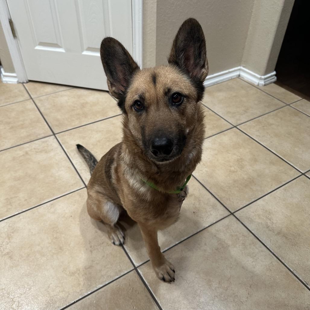 Opal — thumbnail 3