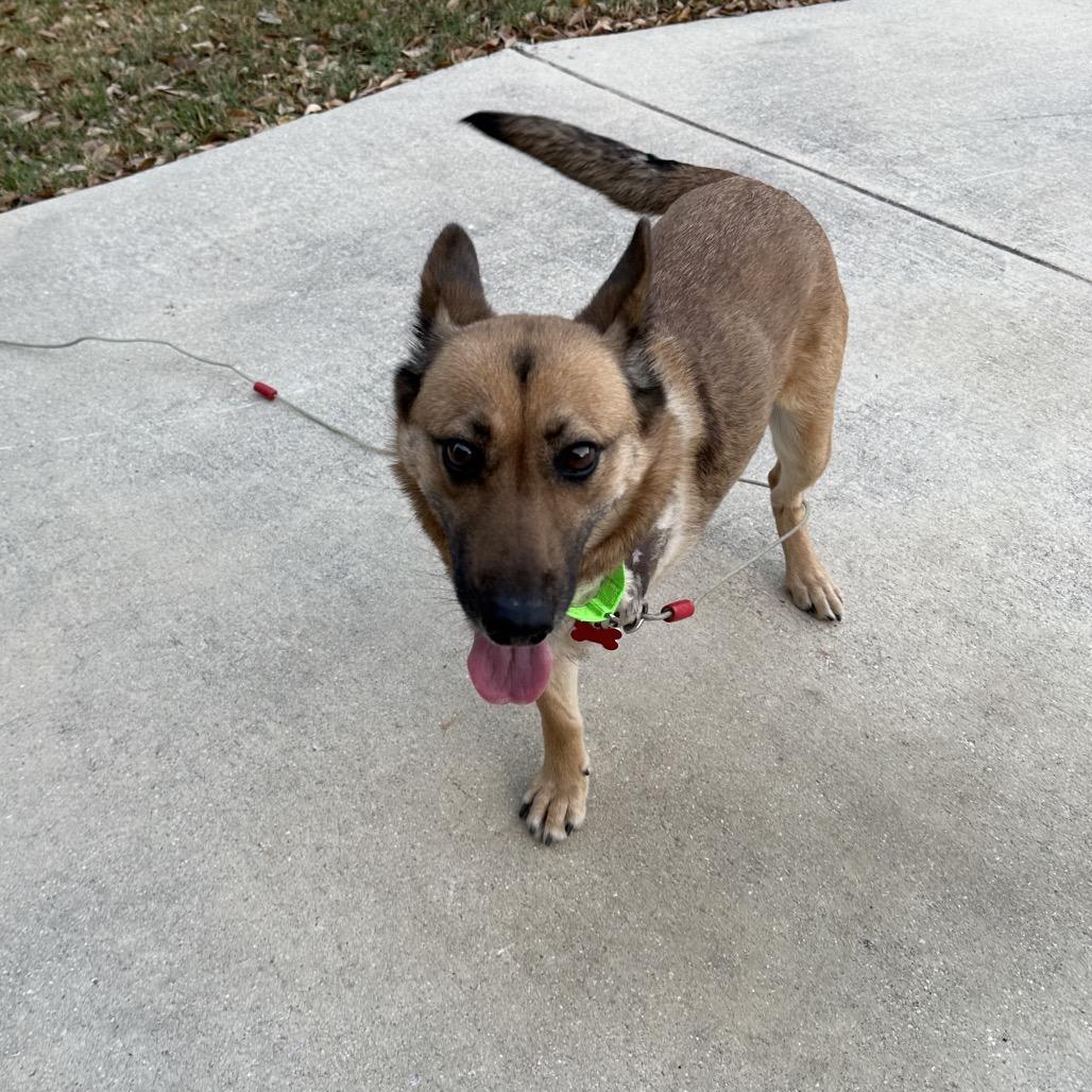 Opal — thumbnail 4