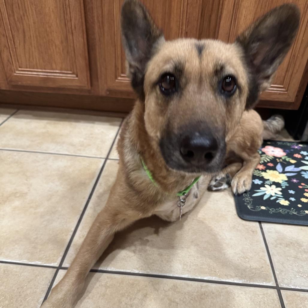 Opal — thumbnail 5