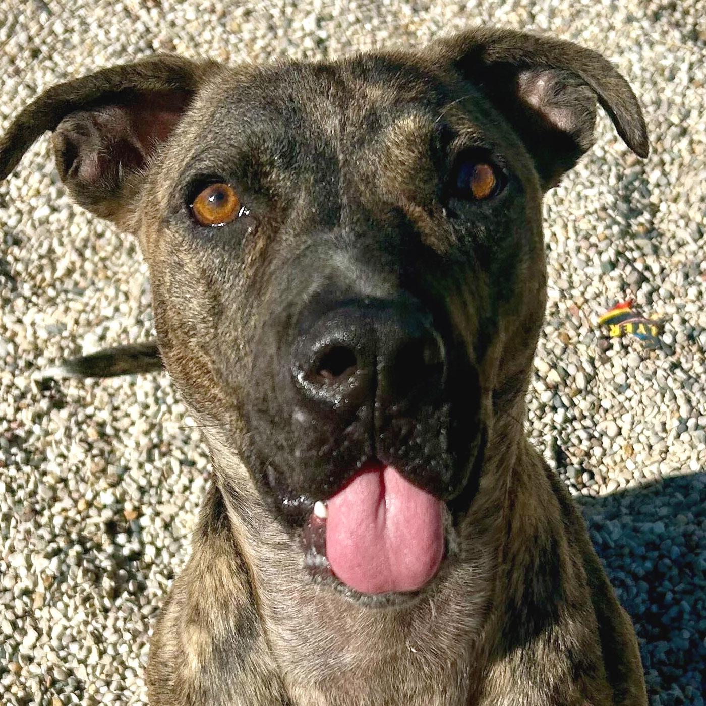 Reuben