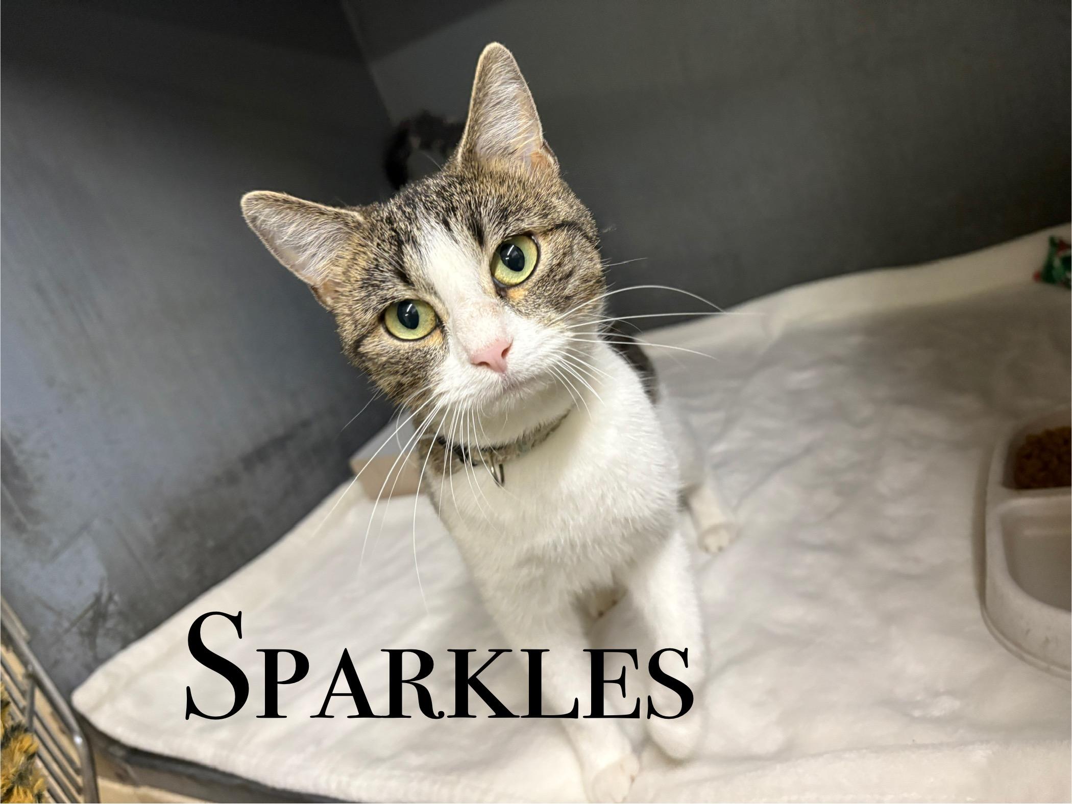 Sparkles