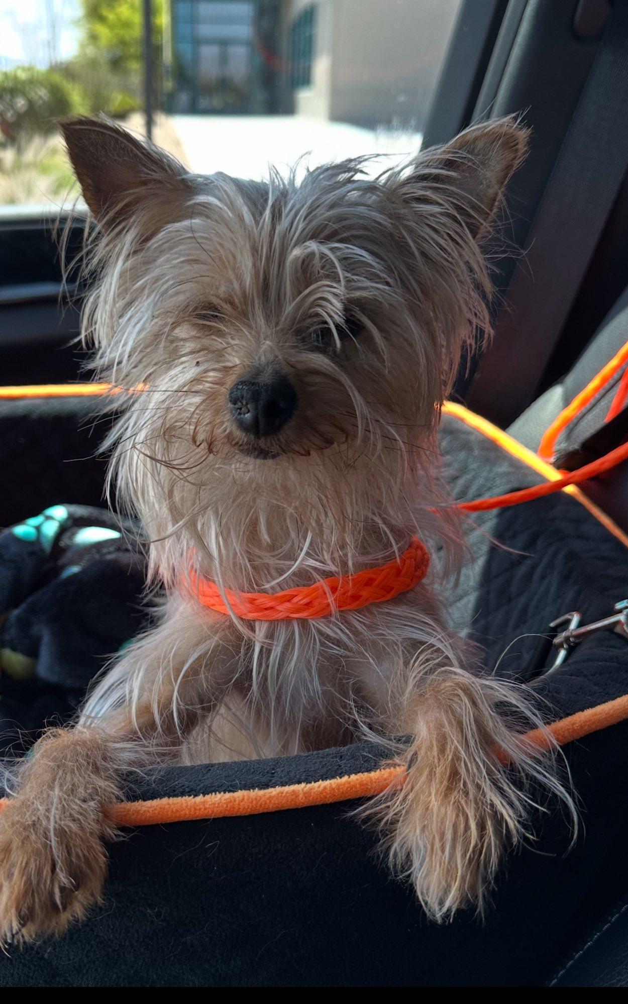 Stormie photo 3
