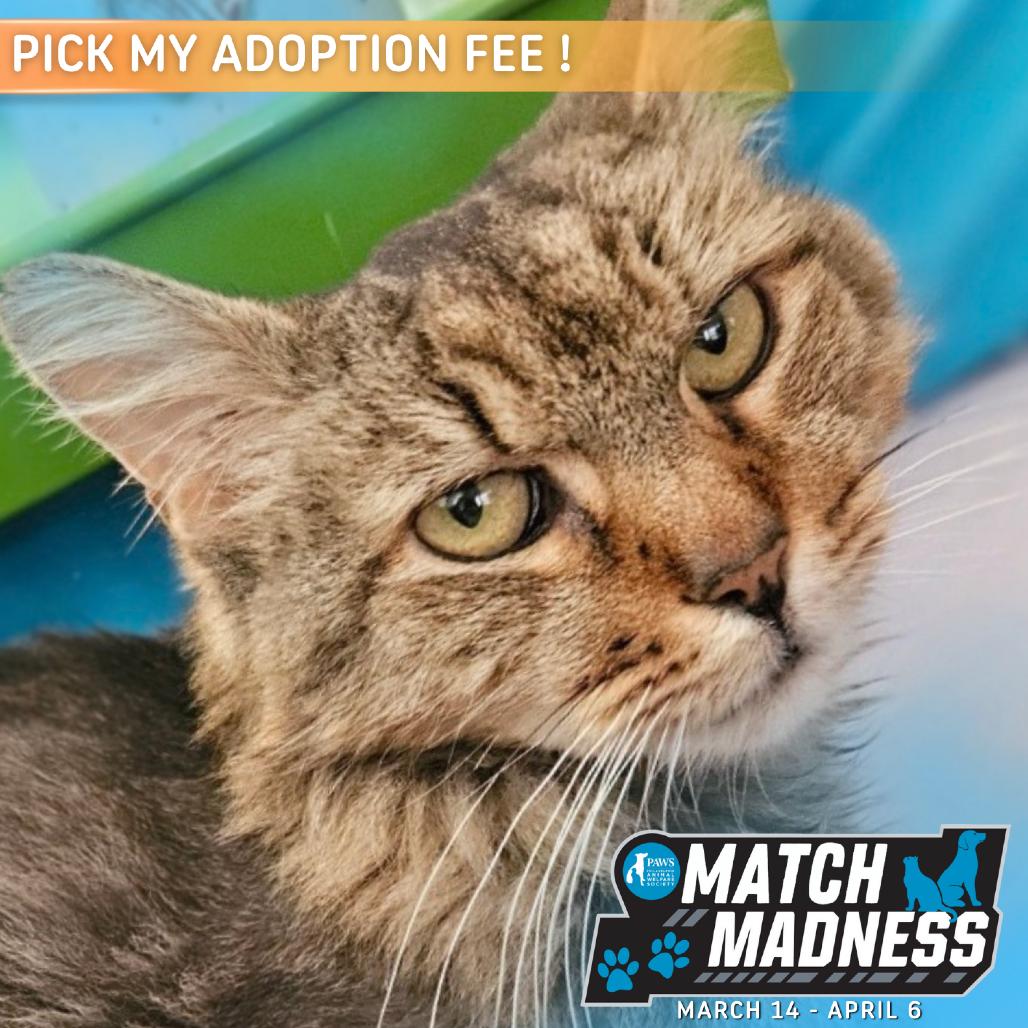 Rosemary — thumbnail 3