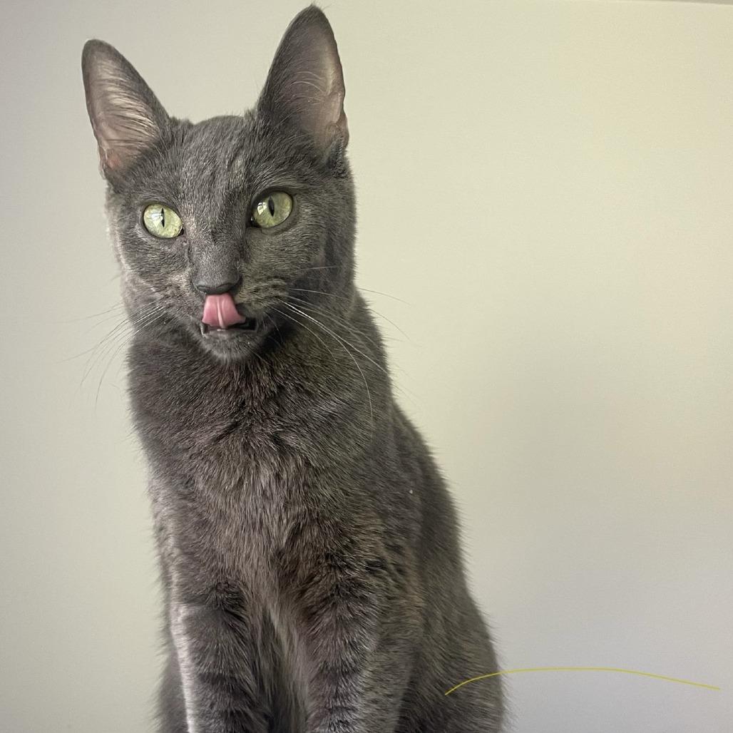 Stormi — thumbnail 2