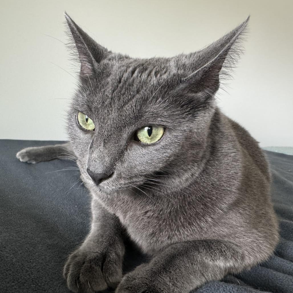 Stormi — thumbnail 4