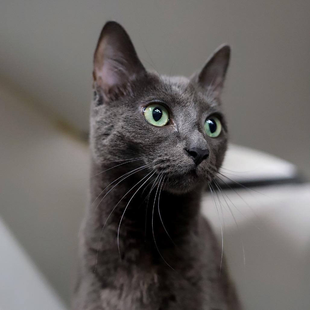 Stormi — thumbnail 5