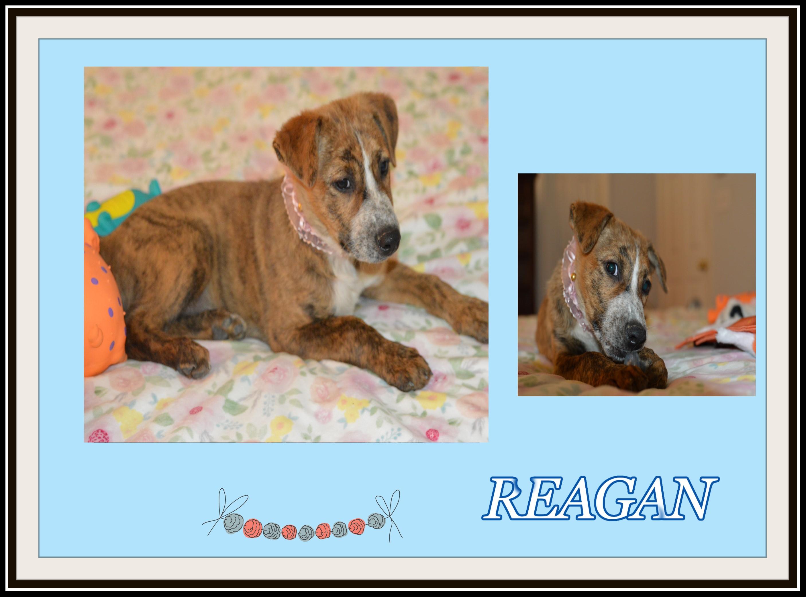 Reagan