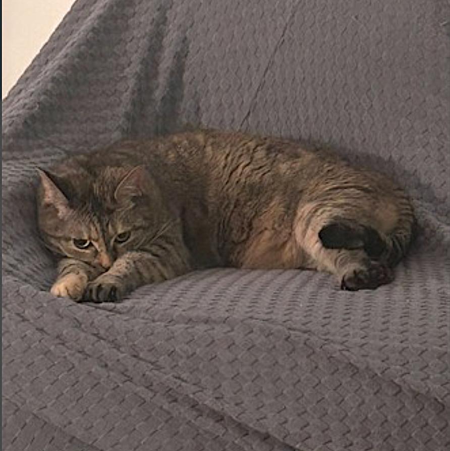 Freya photo 3