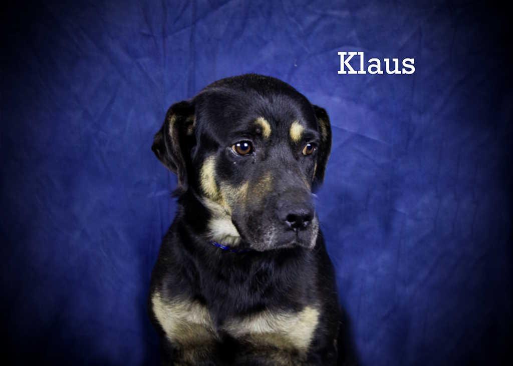 Klaus