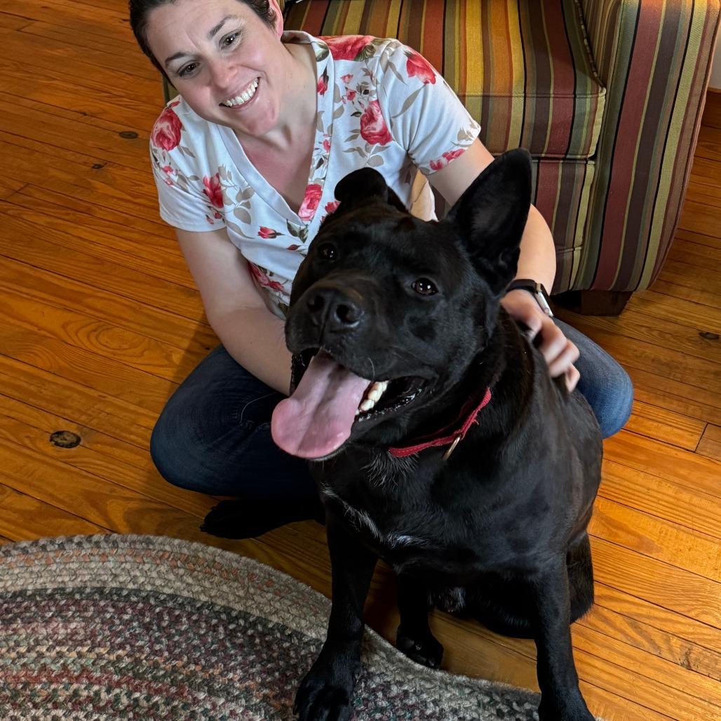 Enlarge Brock, a Adoptable Mixed Breed in Nashville, IN image 3/6