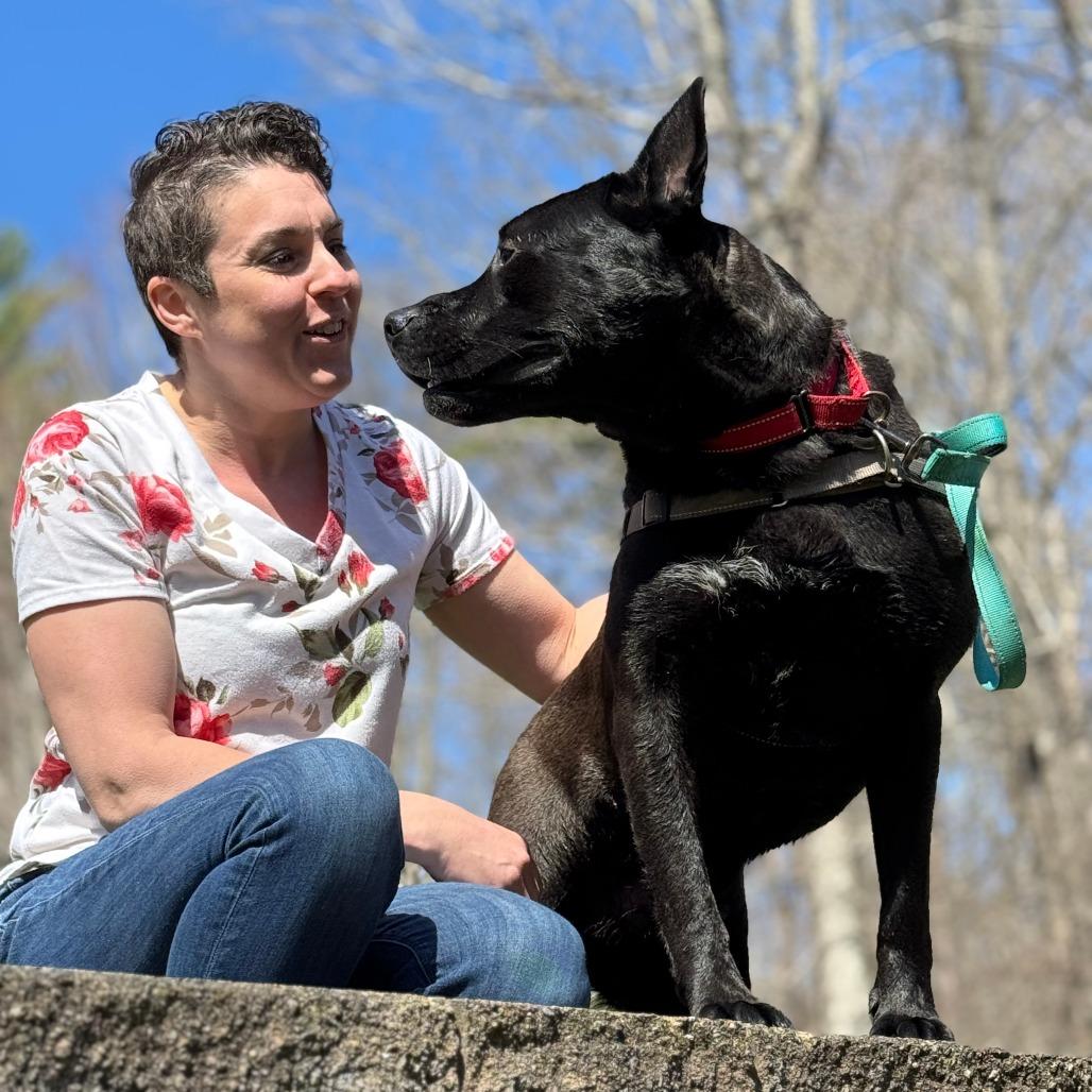 Enlarge Brock, a Adoptable Mixed Breed in Nashville, IN image 4/6