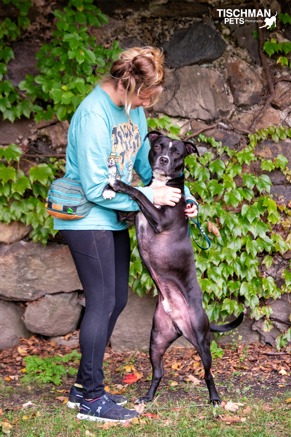 Enlarge ROCCO, a Adoptable Pit Bull Terrier in Stamford, CT image 4/6