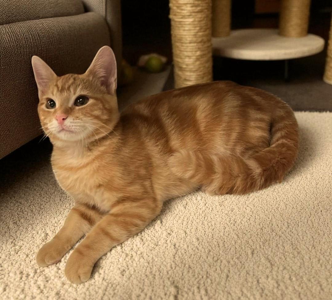 Sudsa Vibrant Little Swirl thumbnail 5