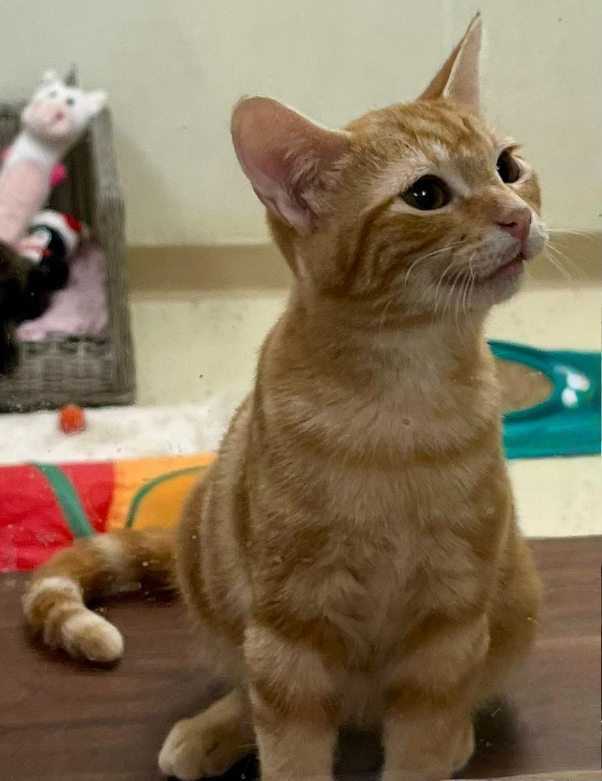 Sudsa Vibrant Little Swirl thumbnail 4