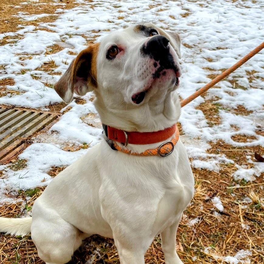 Cordelia — thumbnail 2