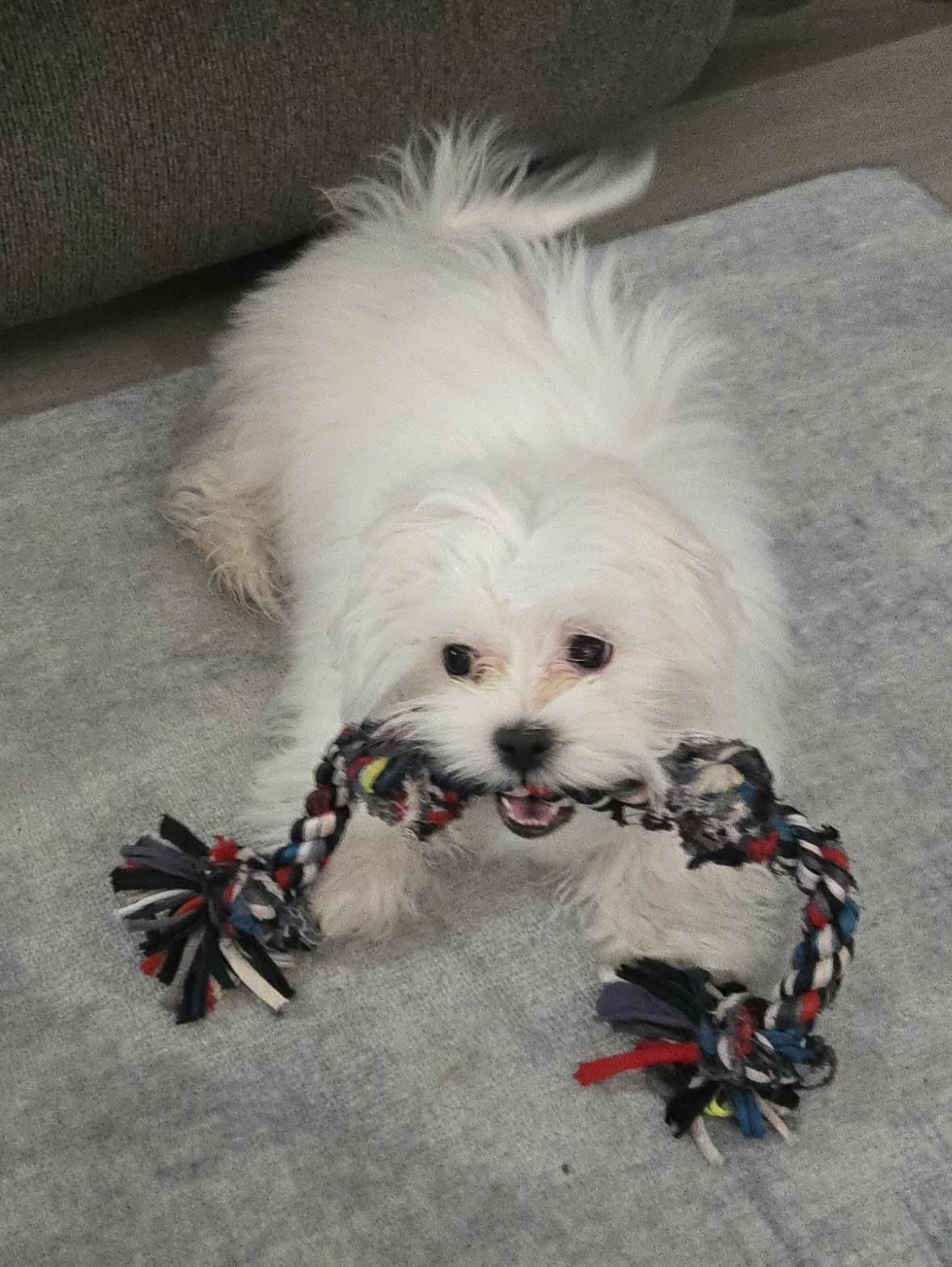 Djinn Djinn thumbnail 3