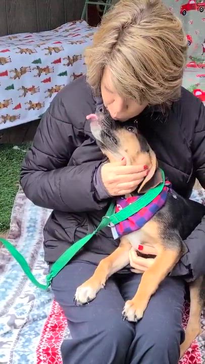 Enlarge Curly, a Adoptable Mixed Breed in Woolwich, ME video 4/4