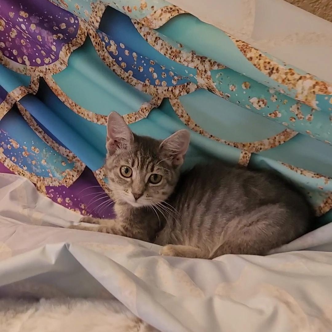 ITSY  (Huge Personality)