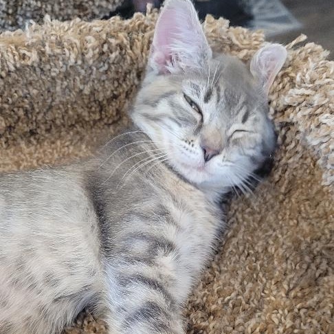 ITSY  (Huge Personality)