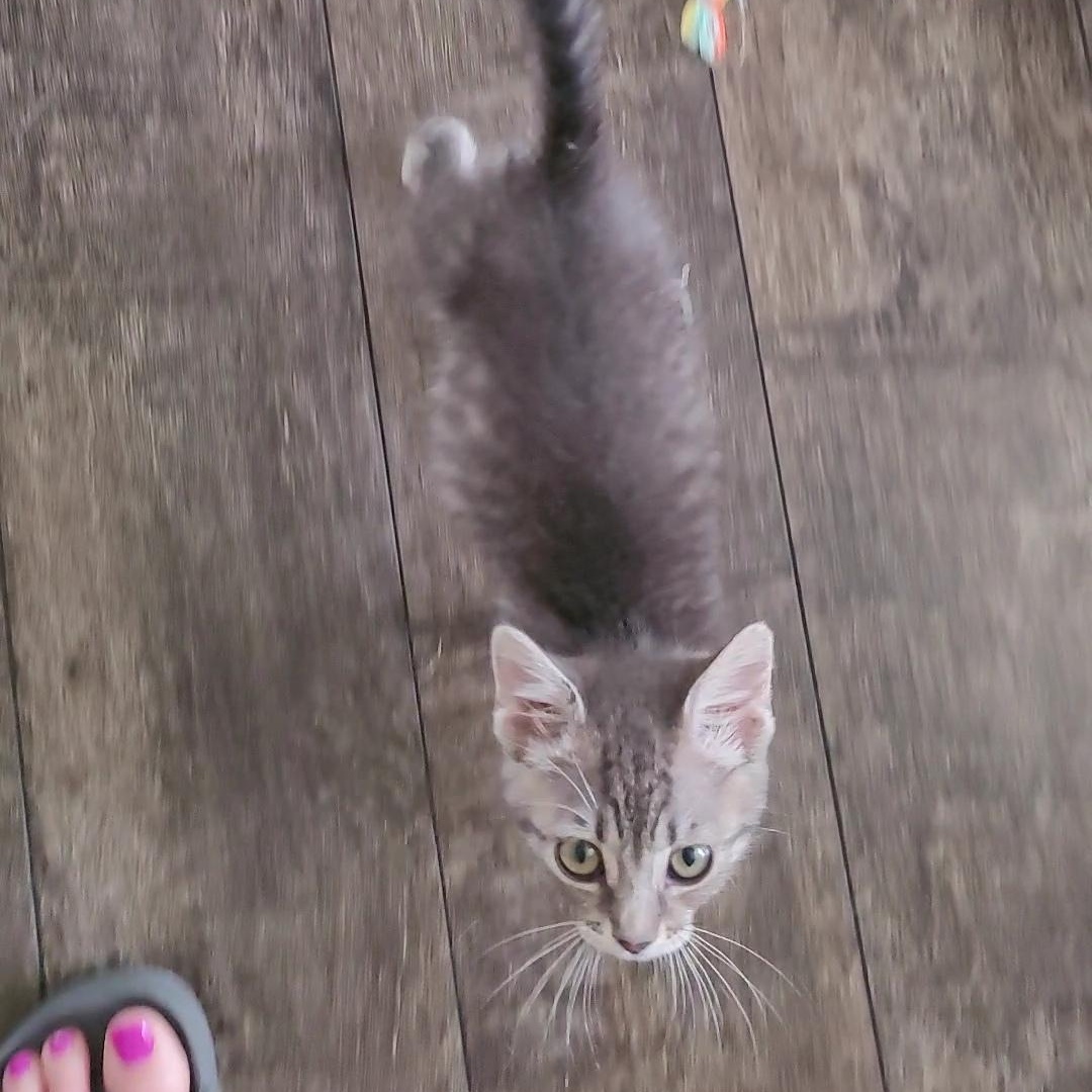 ITSY  (Huge Personality)