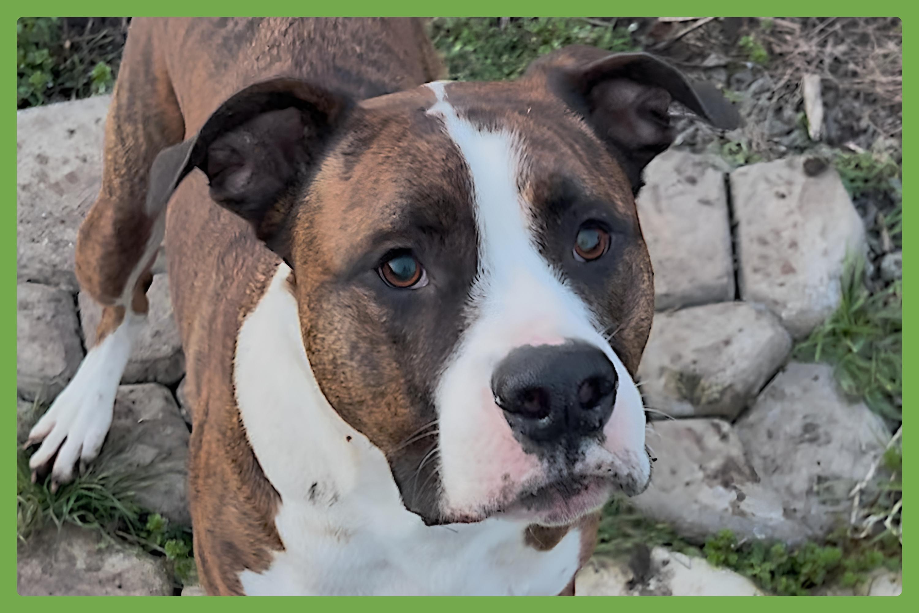 Yuli — thumbnail 5