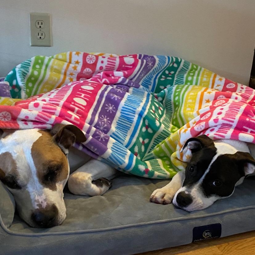 Princess thumbnail 5