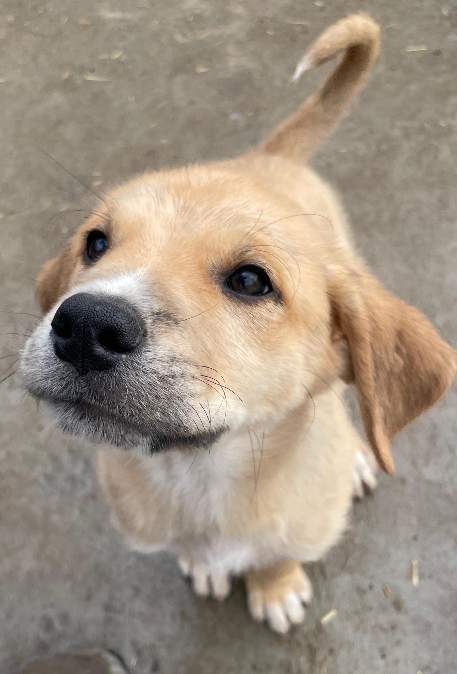 Eli Excellent — thumbnail 2