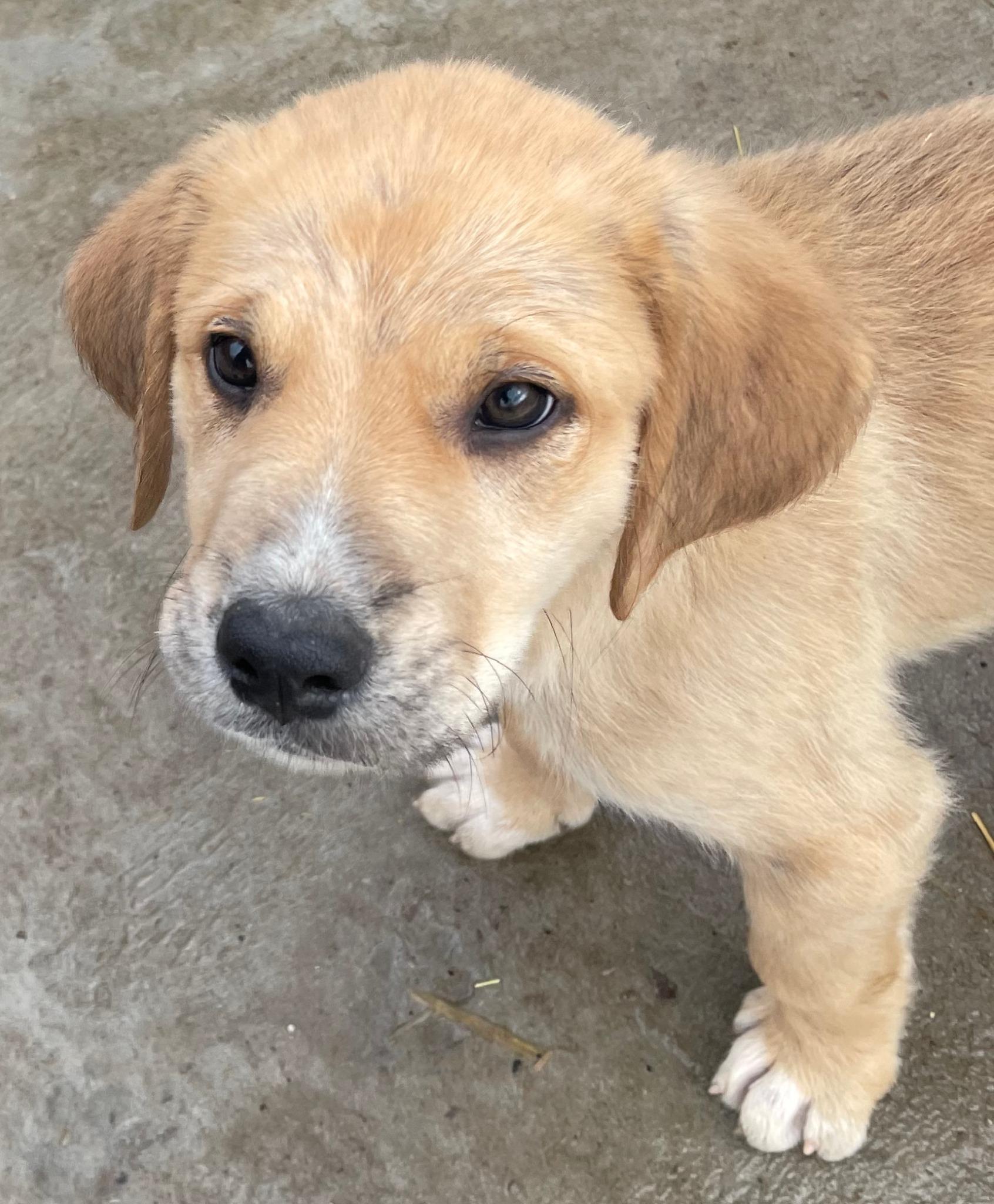 Eli Excellent — thumbnail 3