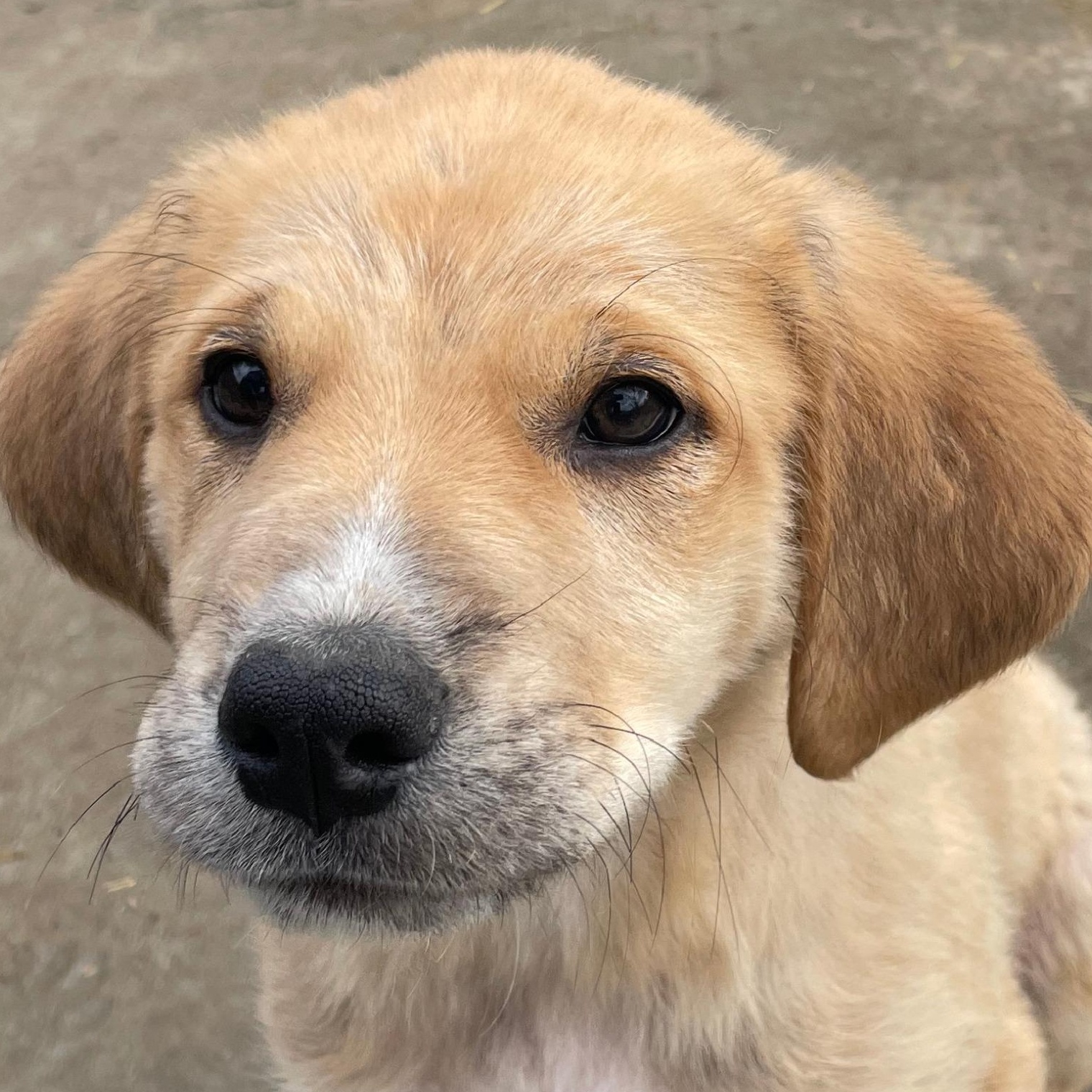 Eli Excellent — thumbnail 4