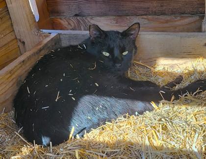 Carter — thumbnail 2