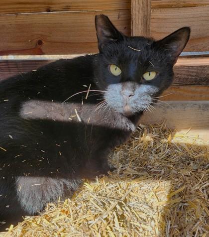 Carter — thumbnail 3