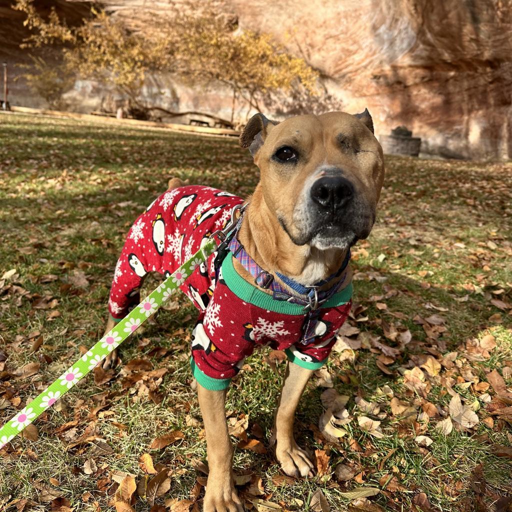 Norberta — thumbnail 4