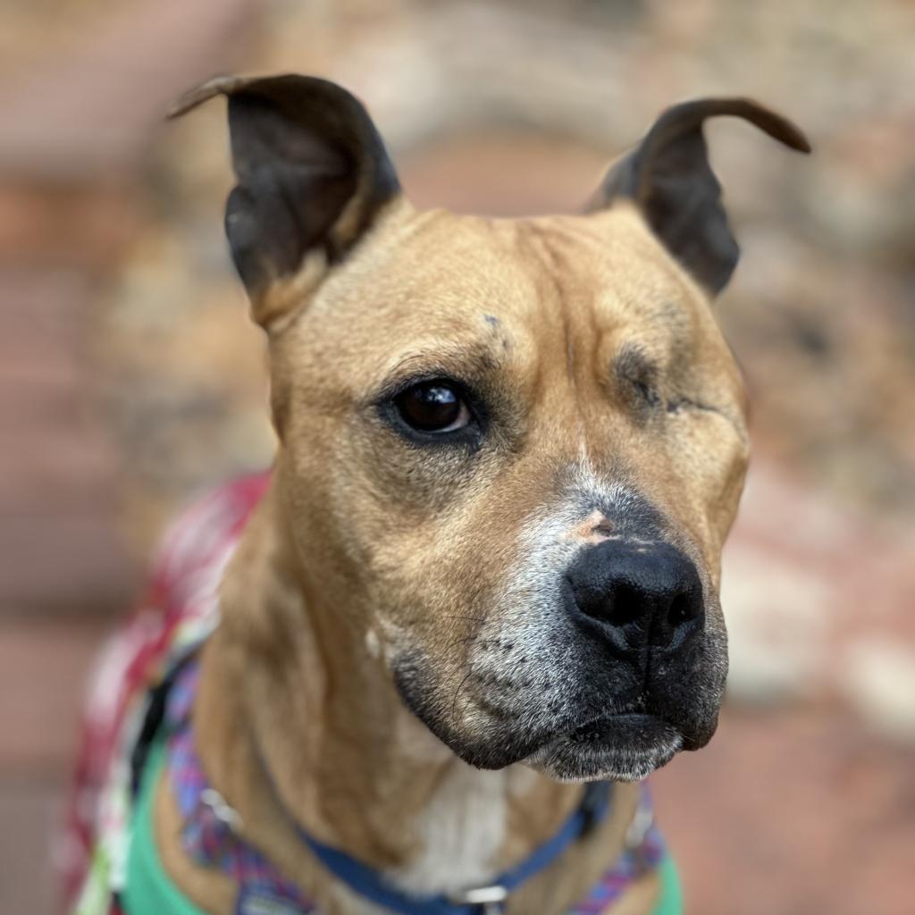 Norberta — thumbnail 6