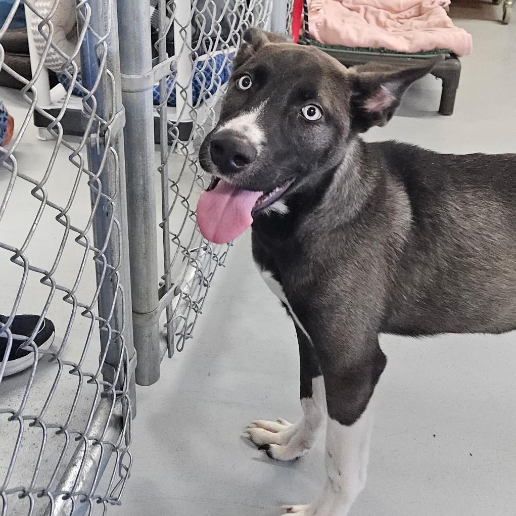 Eastwood — thumbnail 2