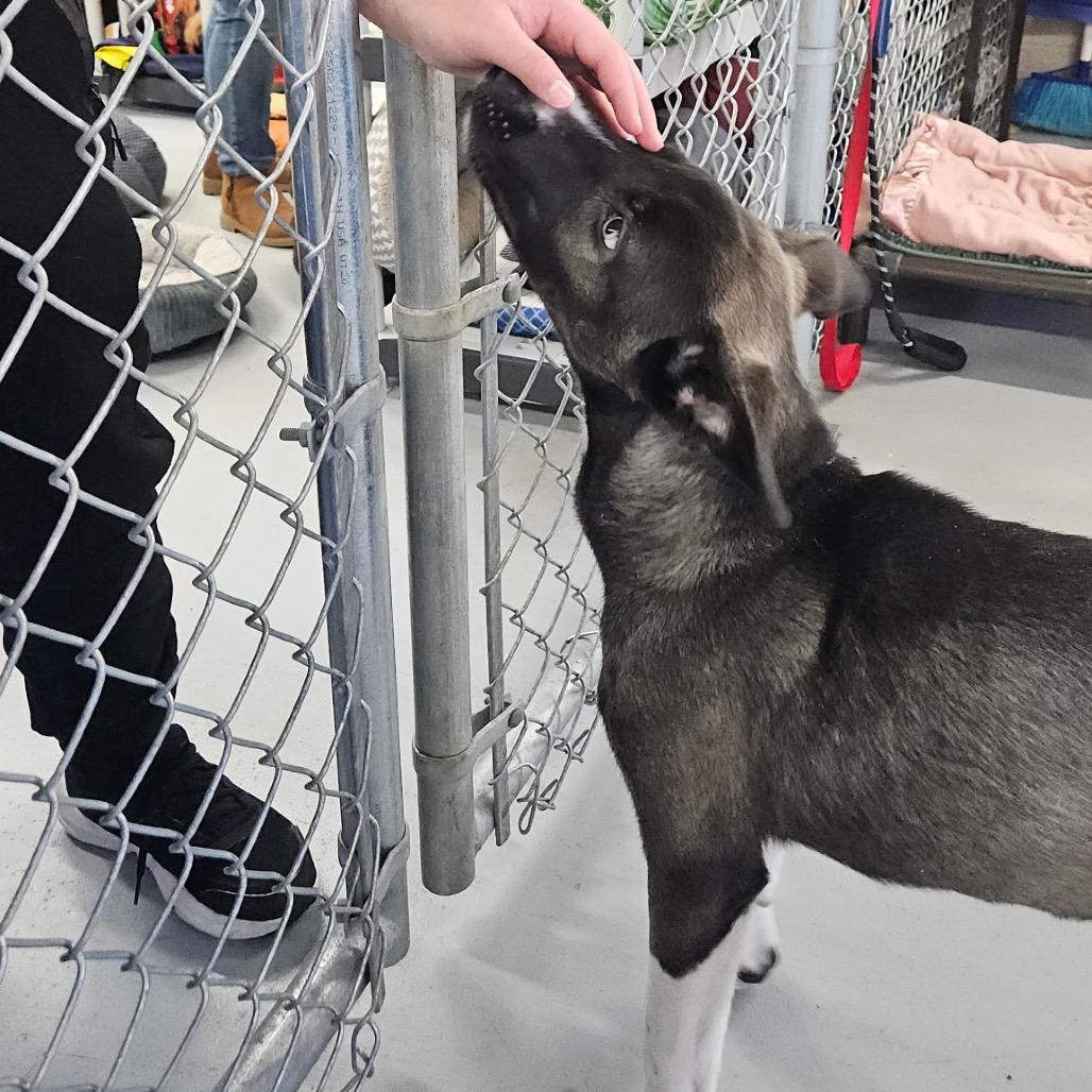 Eastwood — thumbnail 3