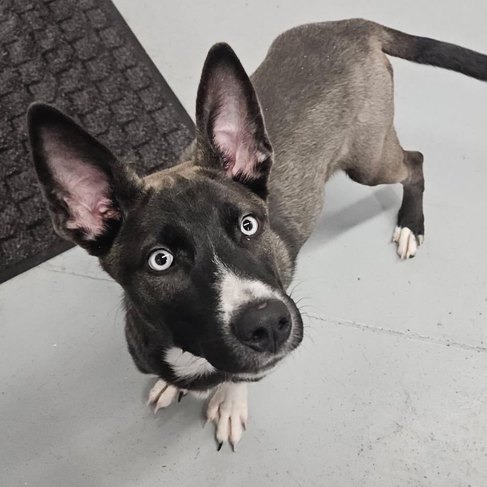 Eastwood — thumbnail 5