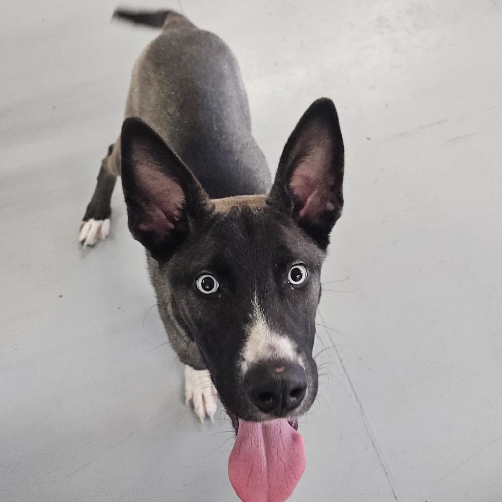 Eastwood — thumbnail 6