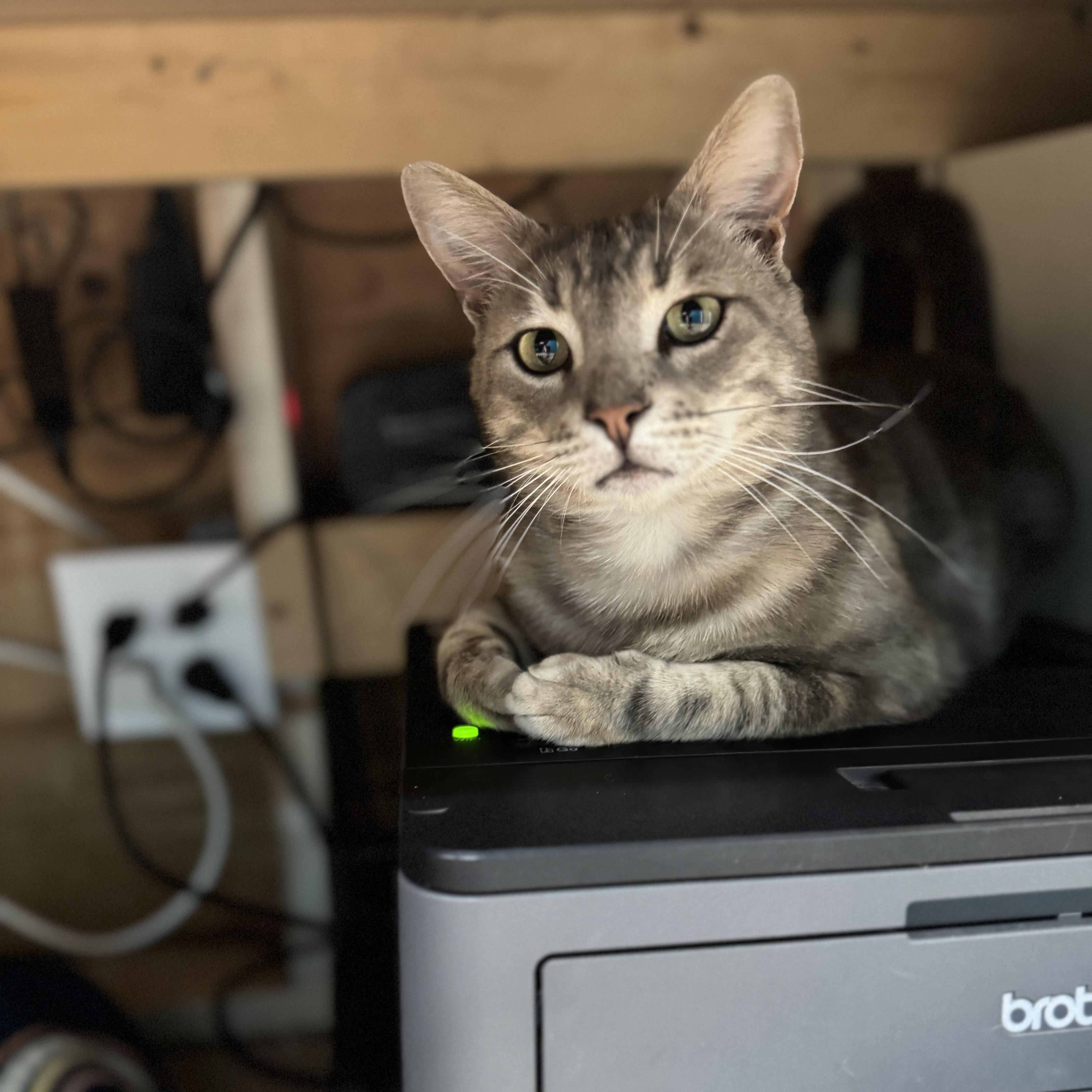 Bernie photo 2