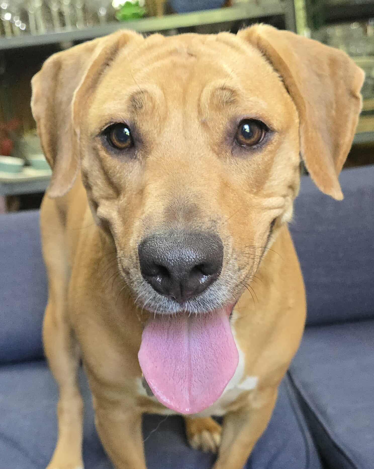 Cloud *foster needed*