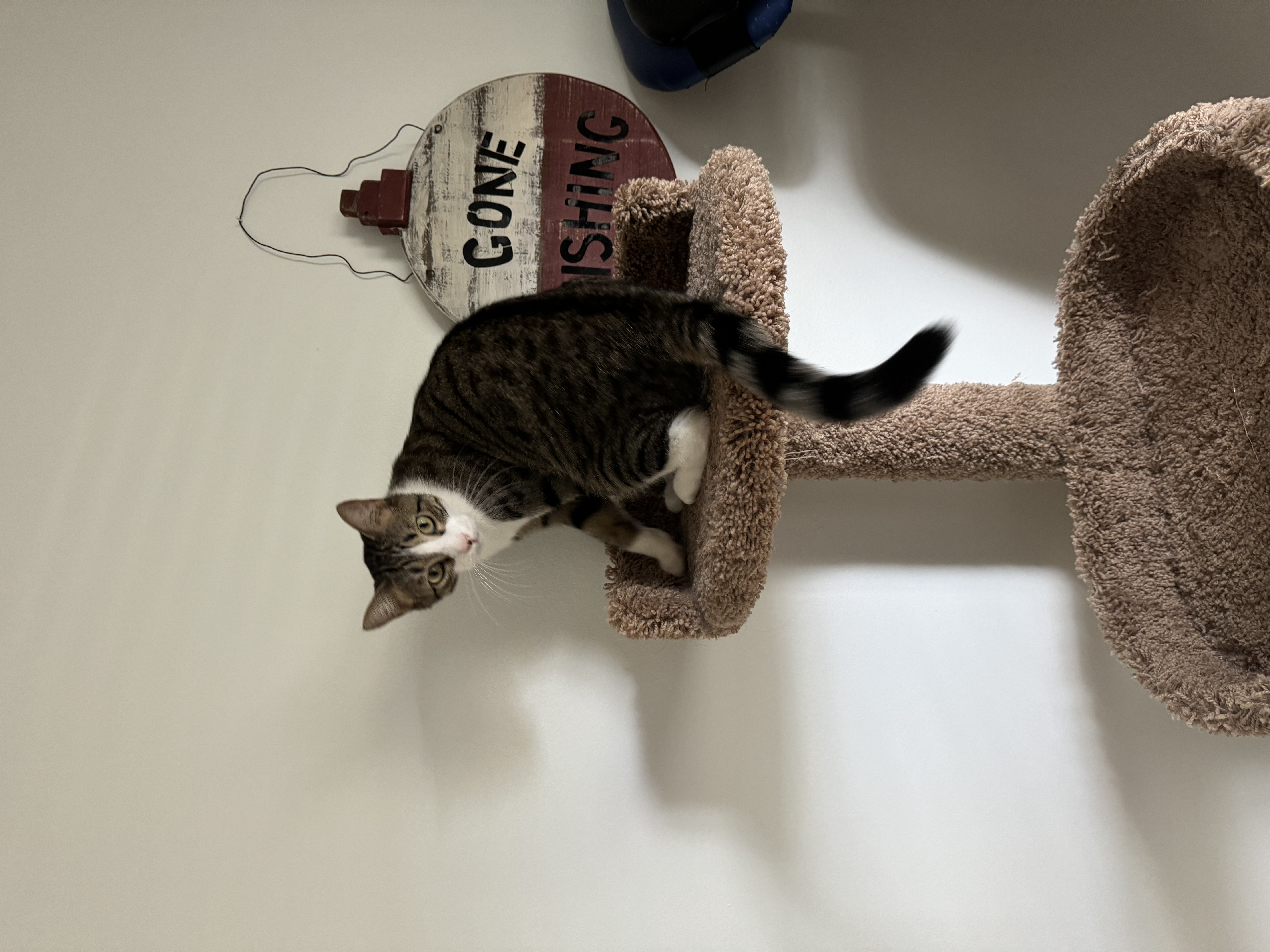 Lily photo 1