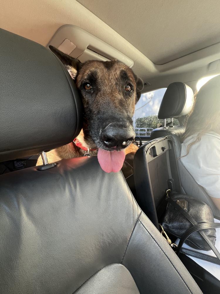 Bolt  Located In thumbnail 3