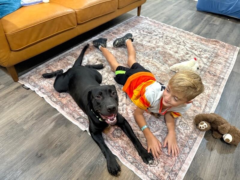 Cookie Cutie — thumbnail 3