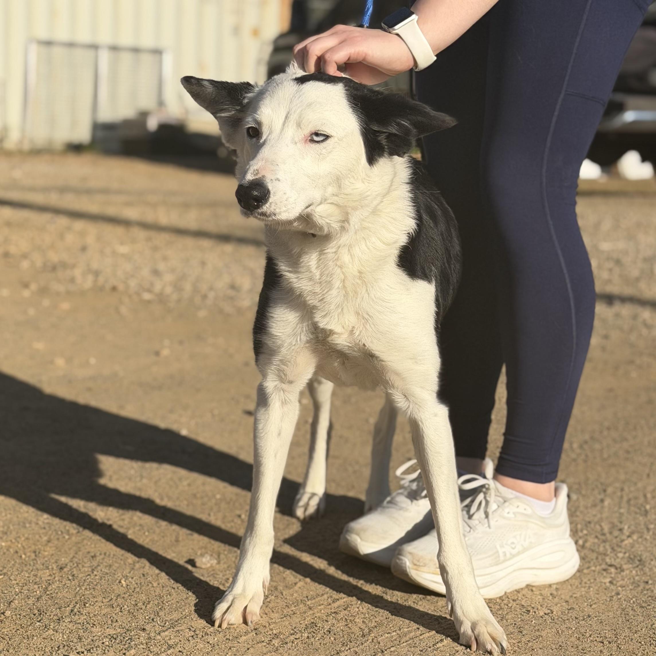 Maggie — thumbnail 3