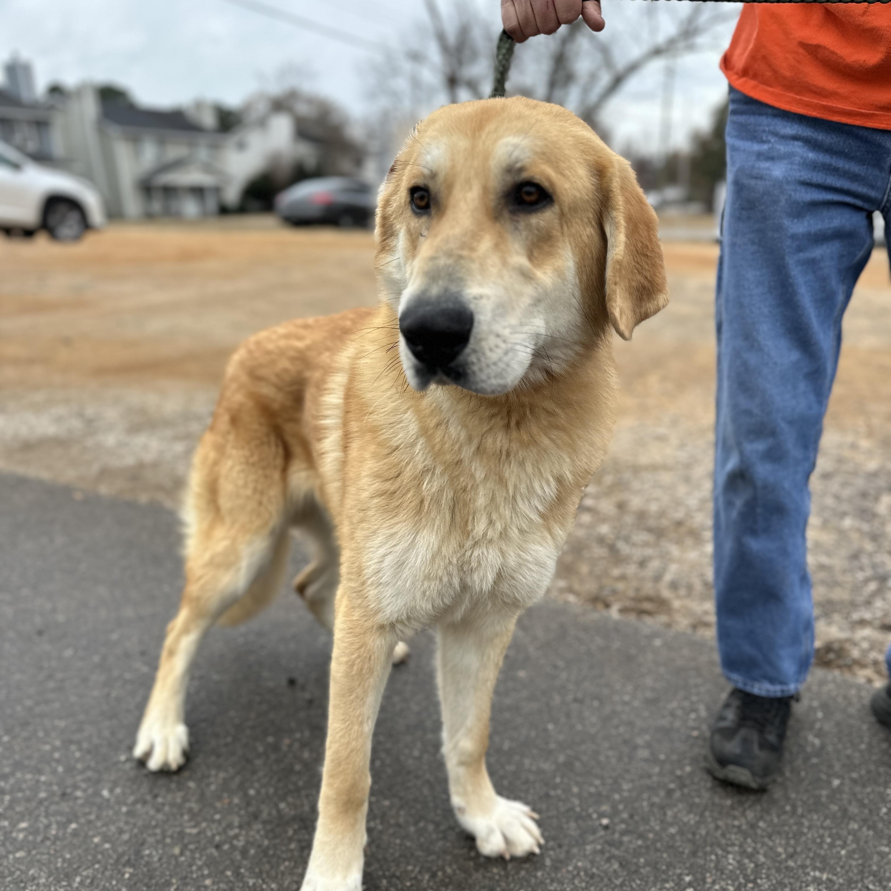 Gargantuan — thumbnail 5