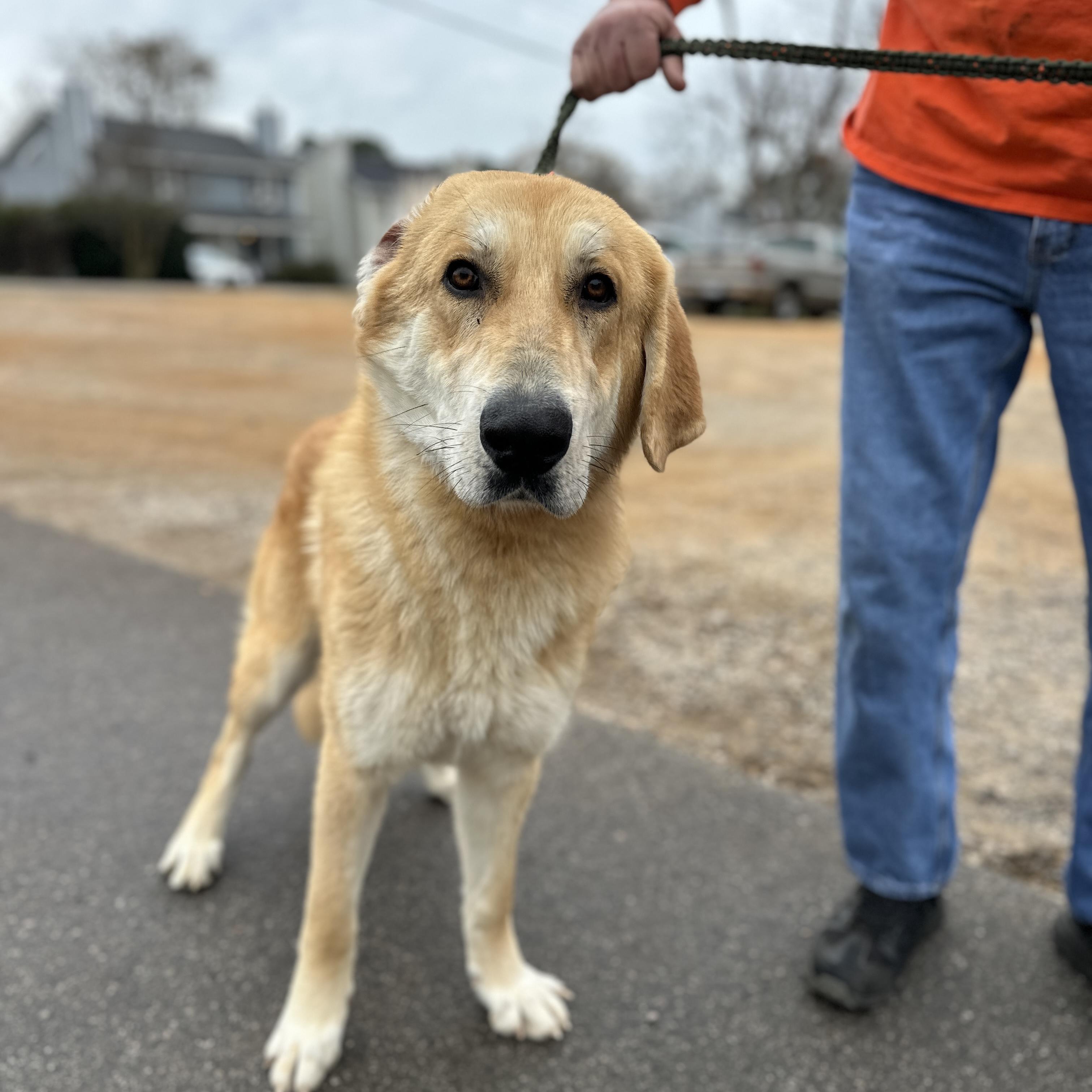 Gargantuan — thumbnail 6