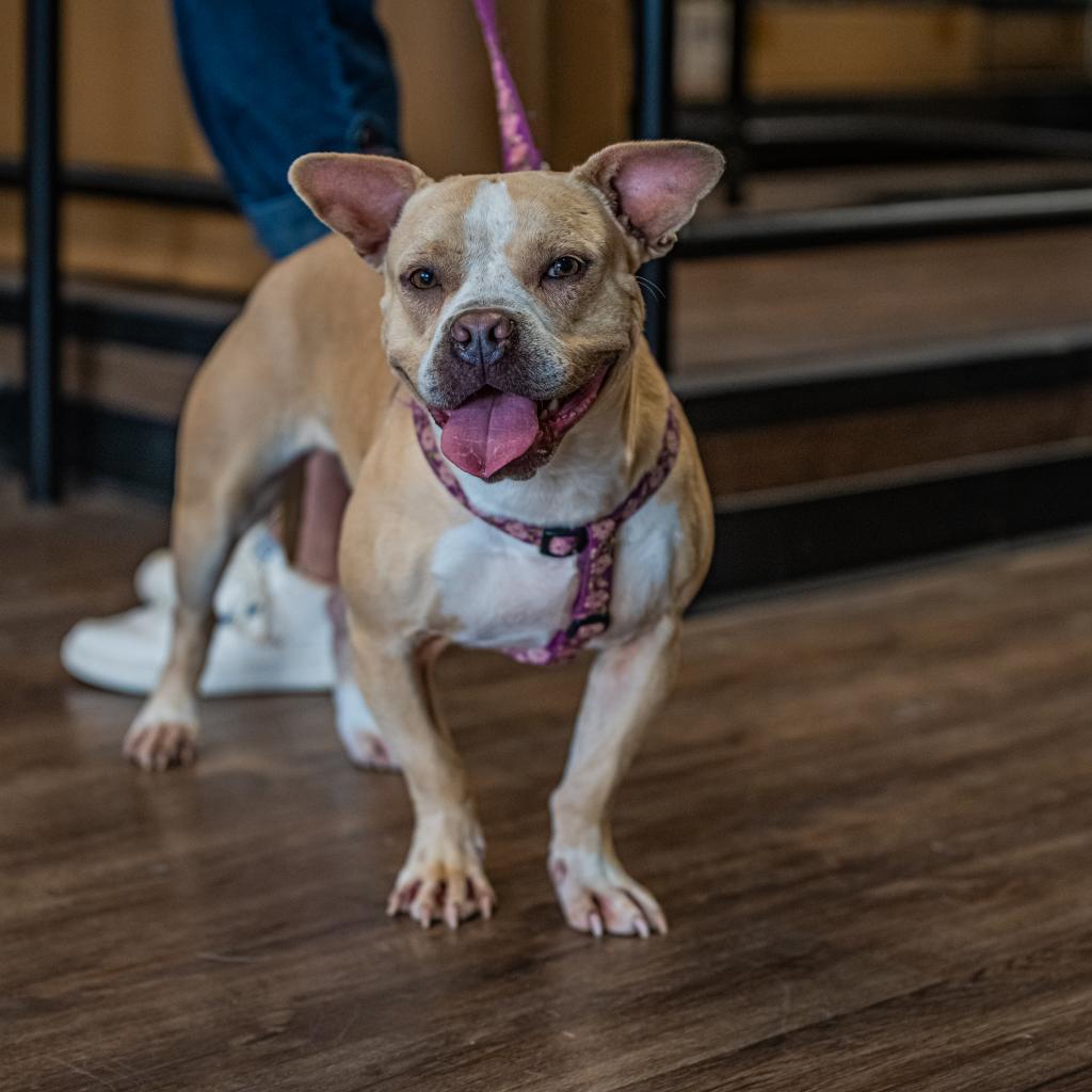 Catherine thumbnail 3