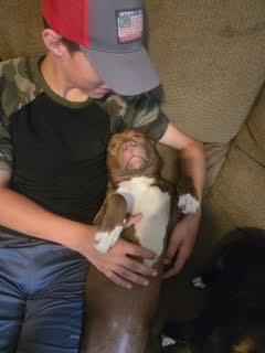 Hooch, a Adoptable mixed breed in Delphi, IN image 4/5